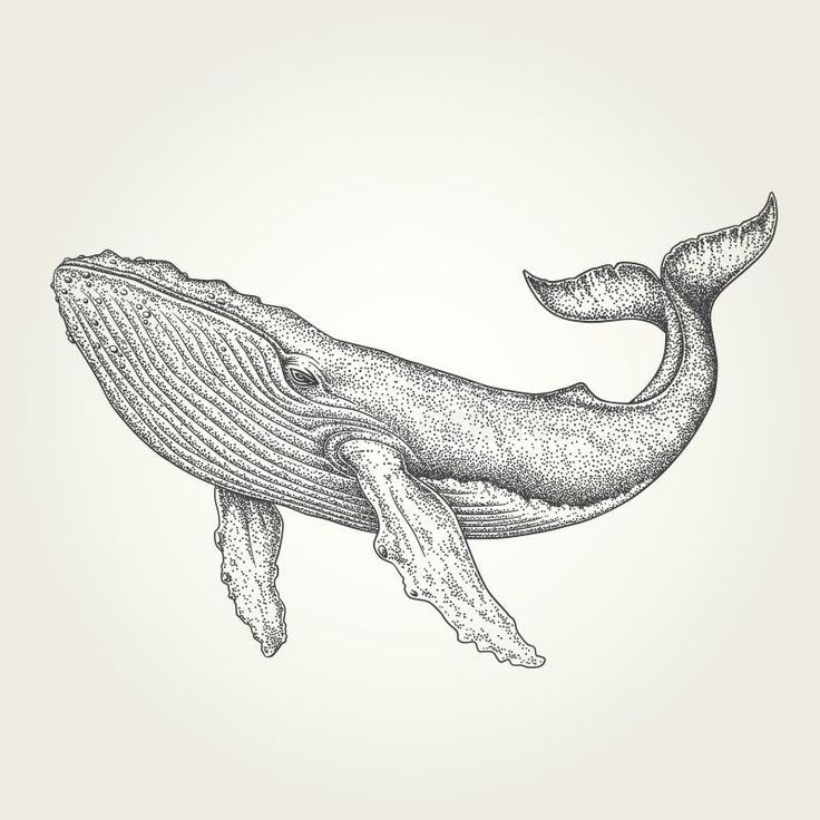 Phu Yen & Vinh Hy 6D5N Tour