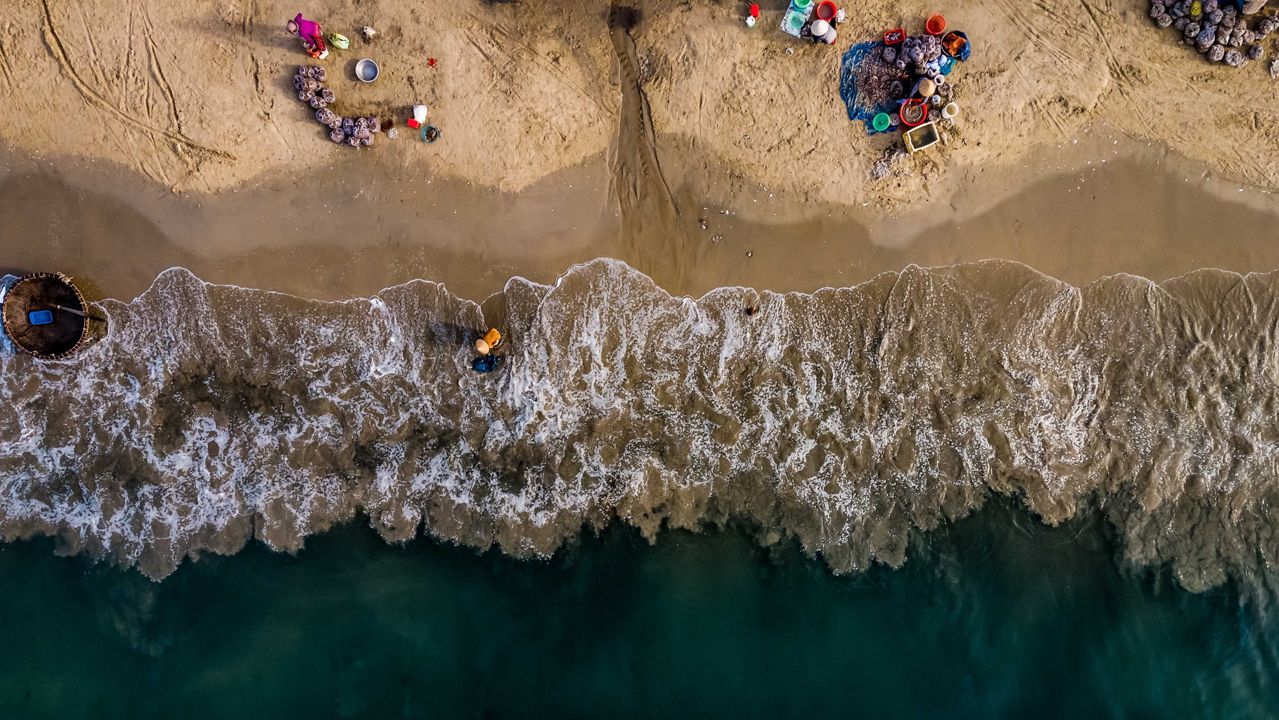 Day Tour Vietnam - Beach Fish Market