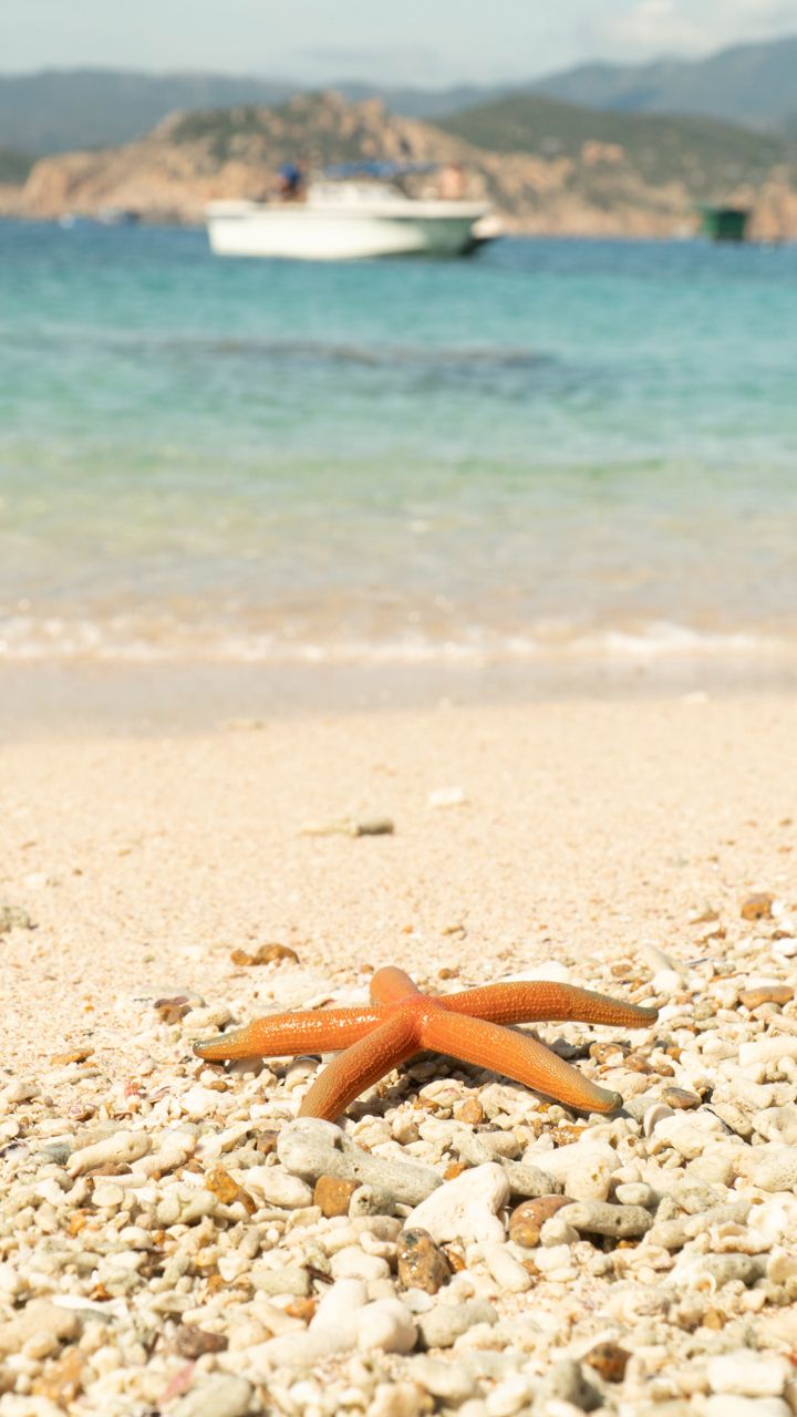 Central Vietnam Beach Destination