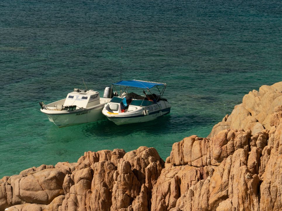 Boat Tour