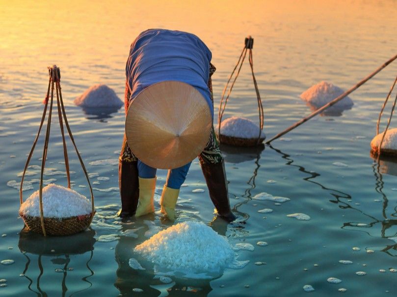Salt Fields